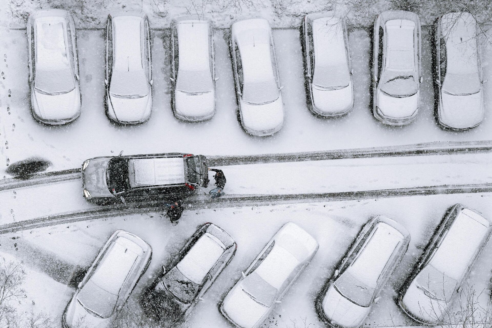 Автомобили, занесенные снегом - РИА Новости, 1920, 19.01.2022